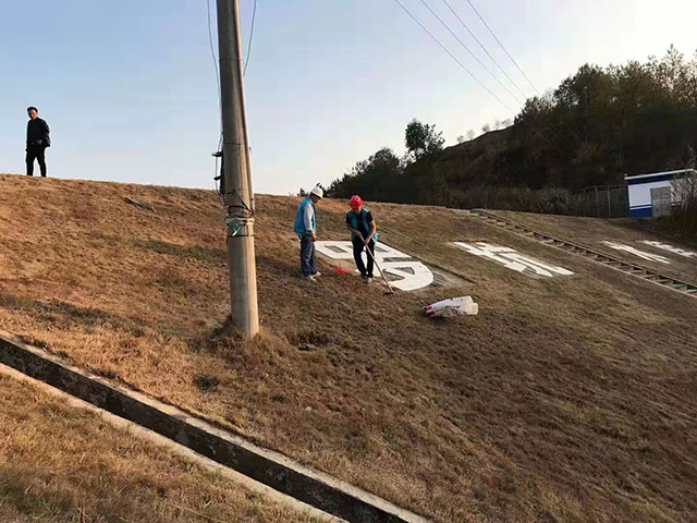 水库堤坝白蚁防治